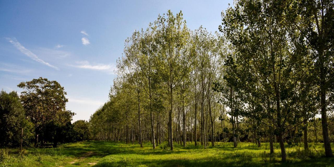 Masseria Giosole Kapua Zewnętrze zdjęcie